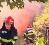 Un cal a murit carbonizat într-un incendiu produs în comuna Drajna