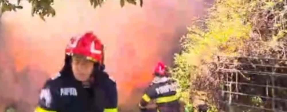 Un cal a murit carbonizat într-un incendiu produs în comuna Drajna