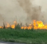Update!/Incendiu pe 50 de hectare de teren, lângă Băicoi. Circulație îngreunată pe DN1