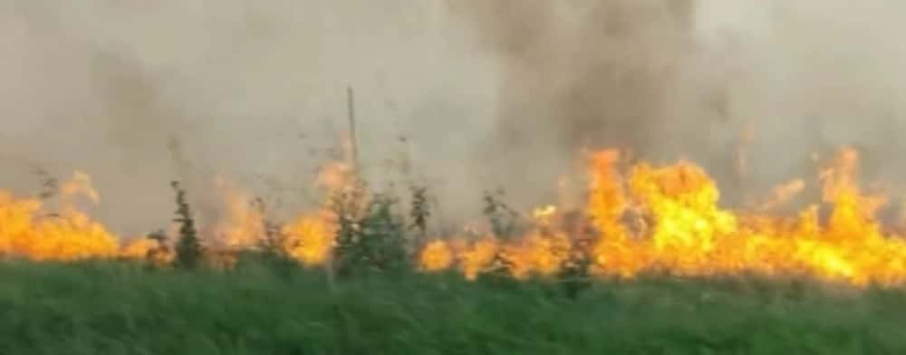 Update!/Incendiu pe 50 de hectare de teren, lângă Băicoi. Circulație îngreunată pe DN1