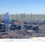 20 de stupi de albine, mistuiți de flăcări, la Colceag