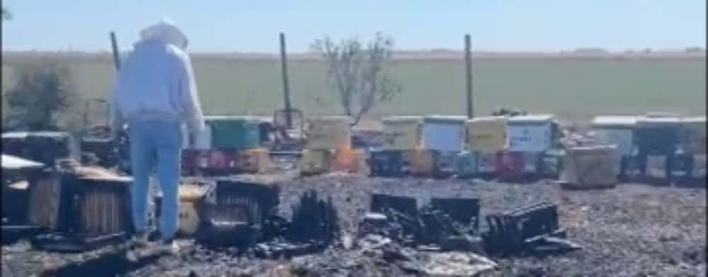20 de stupi de albine, mistuiți de flăcări, la Colceag