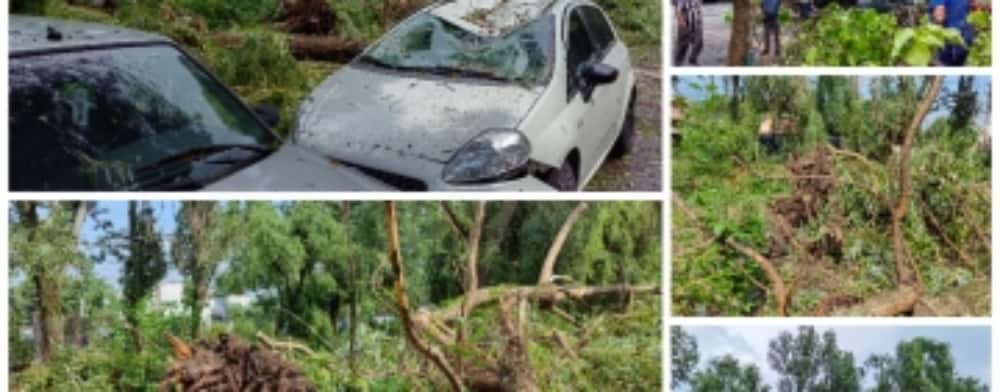 Urgie în zona de est a Ploieștiului, în timpul unei vijelii de scurtă durată (galerie foto)
