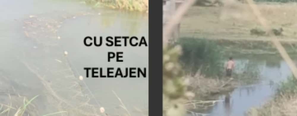 Bărbat prins la pescuit cu setca, pe Teleajen. Jandarmii l-au predat Poliției