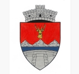 Cerbul de aur, muntele de argint și barajul Paltinu, elementele de pe stema comunei Valea Doftanei. Guvernul a aprobat azi simbolul localității