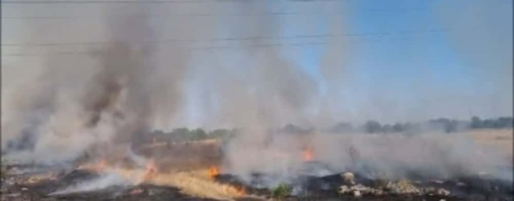 Incendiu pe 50 de hectare de teren, în comuna Bărcănești. Pompierii intervin cu cinci autospeciale de stingere