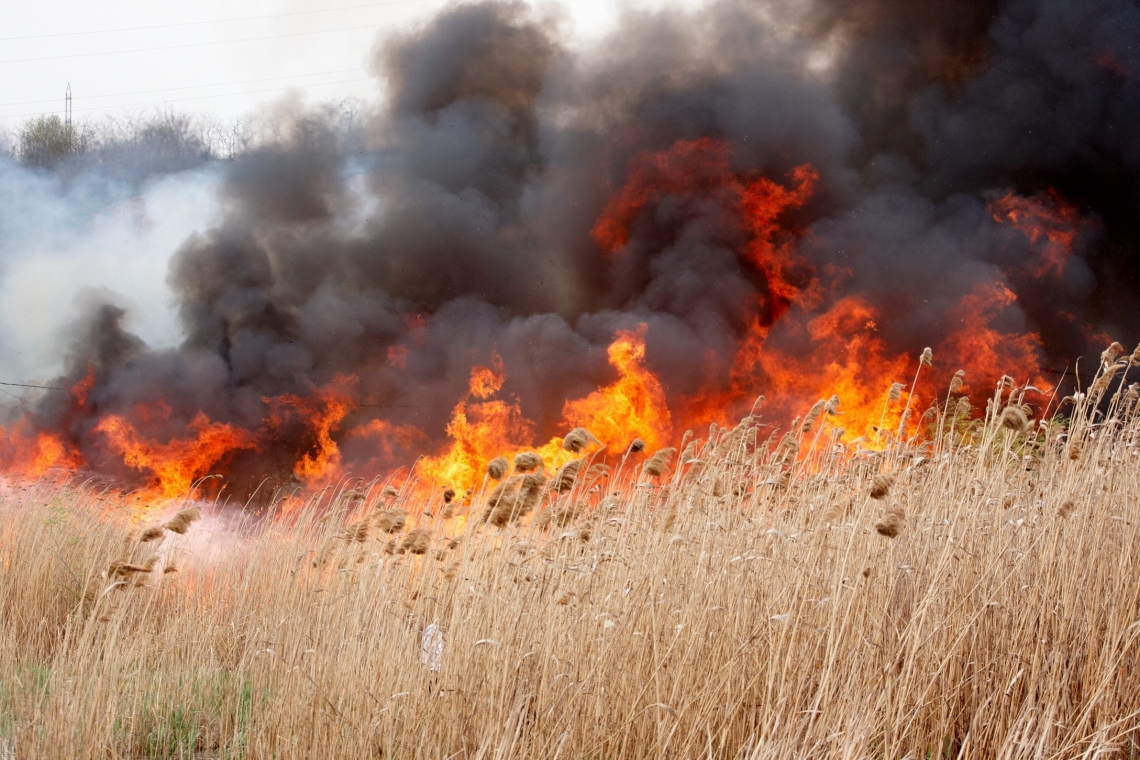 Incendiu pe nouă hectare de teren, în Urlați. Zeci de pompieri se luptă cu flăcările