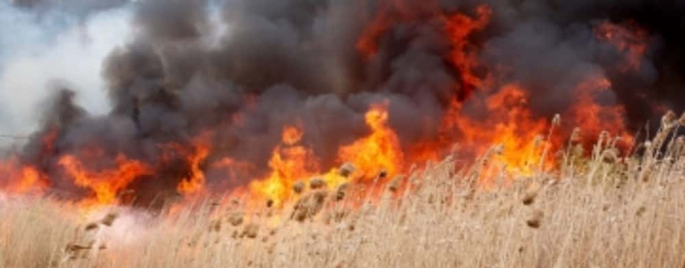 Zeci de pompieri se luptă cu un incendiu de proporții, în Jugureni și Călugăreni
