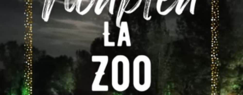 13 septembrie = noapte gratuită la Zoo Bucov