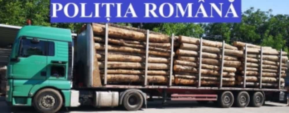 Două camioane pline cu lemne, imobilizate de polițiștii prahoveni. Există suspiciuni privind proveniența buștenilor și cantitatea transportată
