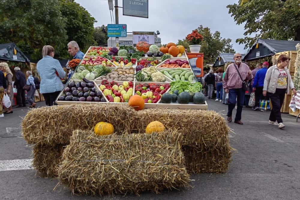 Târgul Toamnei își deschide porțile în centrul Ploieștiului. La standuri - must, pastramă, legume și fructe de sezon, produse tradiționale