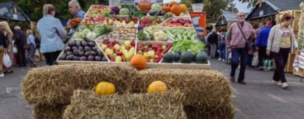 Târgul Toamnei își deschide porțile în centrul Ploieștiului. La standuri - must, pastramă, legume și fructe de sezon, produse tradiționale