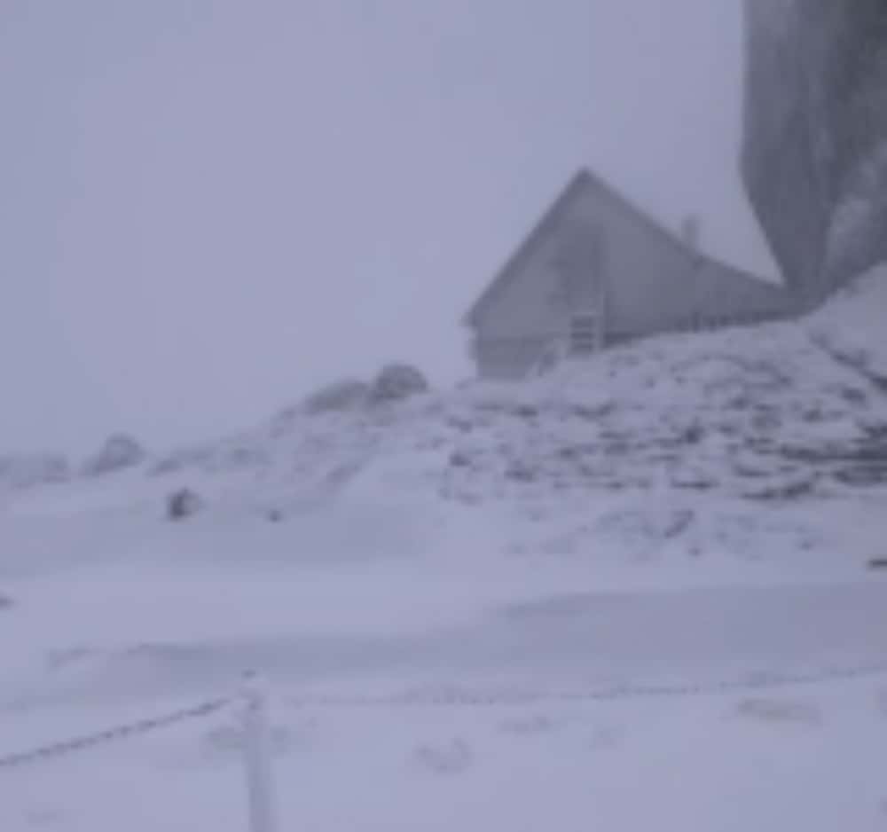Zăpadă de 5 cm la Vârful Omu