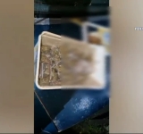Zeci de persoane, printre care și minori, cercetate de BCCO Ploiești și DIICOT pentru deținere și trafic de droguri