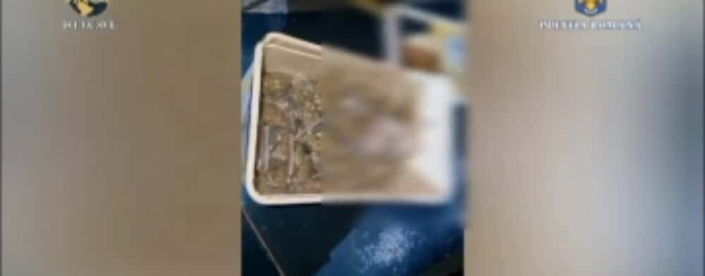 Zeci de persoane, printre care și minori, cercetate de BCCO Ploiești și DIICOT pentru deținere și trafic de droguri