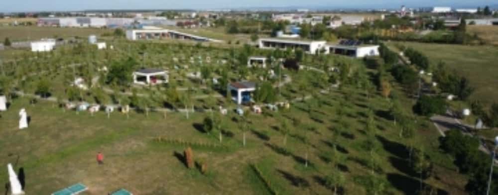 400 de arbori ornamentali vor fi plantați în Parcul Municipal Vest, în cadrul proiectului ”România mai curată”. Virgiliu Nanu, noul președinte al CJ Prahova, va participa la eveniment