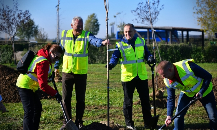 România mai curată începe cu Prahova mai curată! Președintele CJ Prahova, Virgiliu Nanu, și prefectul Emil Drăgănescu - la acțiunea de plantare și ecologizare!