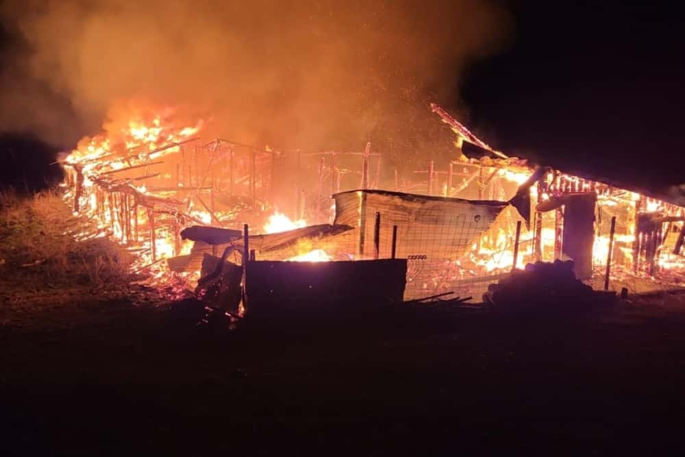 Un saivan s-a făcut scrum în Slănic. Mai multe animale au ars de vii în incendiu