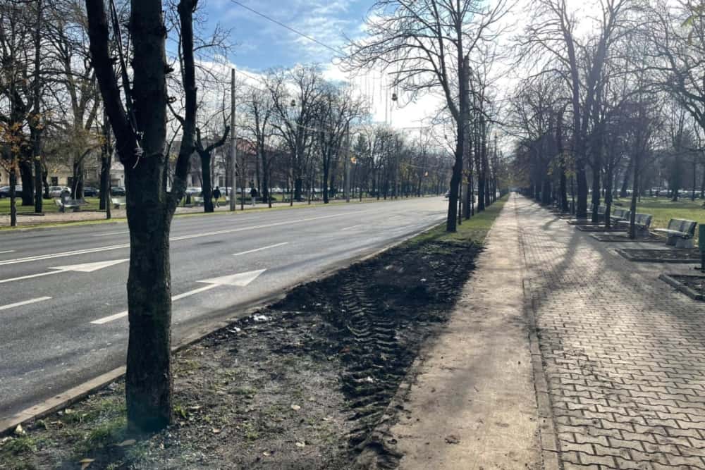 Reacția Primăriei Ploiești la solicitarea de luare a unor măsuri urgente pentru siguranța traficului