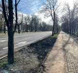 Reacția Primăriei Ploiești la solicitarea de luare a unor măsuri urgente pentru siguranța traficului