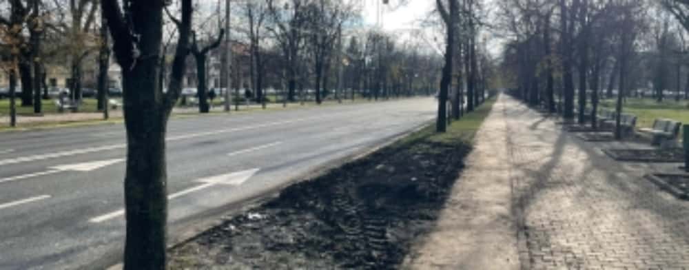 Reacția Primăriei Ploiești la solicitarea de luare a unor măsuri urgente pentru siguranța traficului