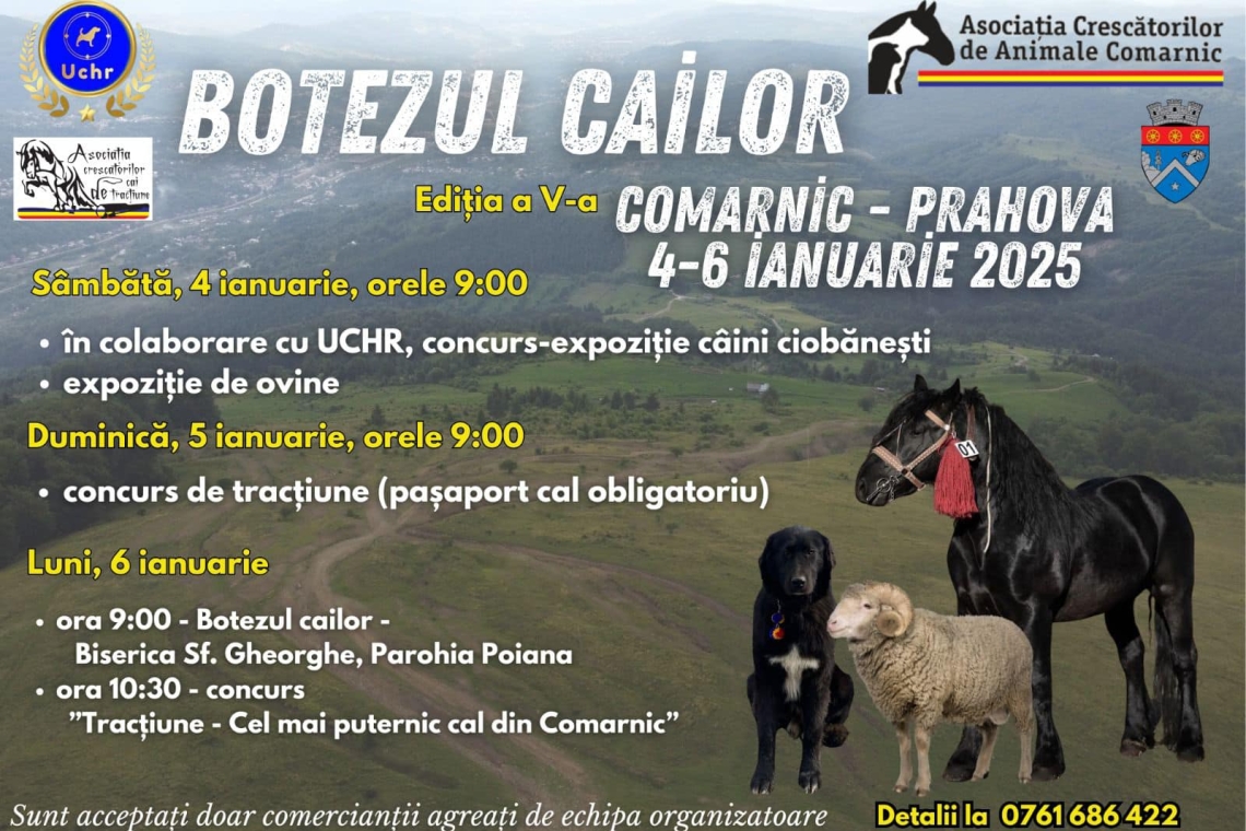 Evenimentele dedicate ”Botezului Cailor” încep de astăzi, la Comarnic!