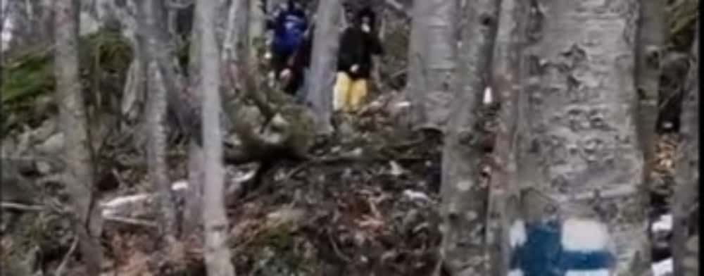 Patru turiști străini încălțați cu adidași au cerut ajutorul jandarmilor pentru a-i coborî de pe Jepii Mici. Traseul este închis iarna!