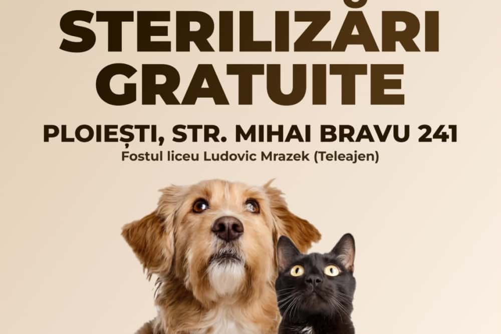 Sterilizări gratuite la Ploiești, pentru animăluțele de companie sau abandonate pe străzi