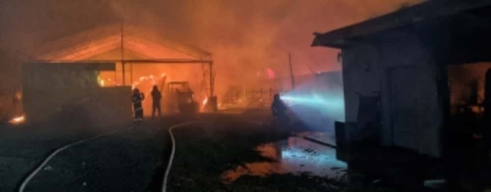 Proprietarul fermei de capre mistuită de flăcări, în Balta Doamnei, cere sprijin: ”Încerc să o iau de la zero!”