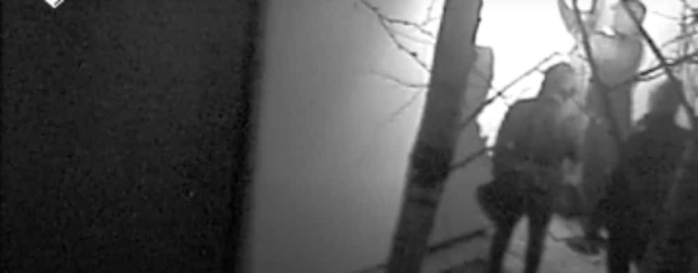 Video/Spargerea dată la muzeul din Olanda, de unde au fost furate piese de tezaur dacic, surprinsă pe camere de supraveghere