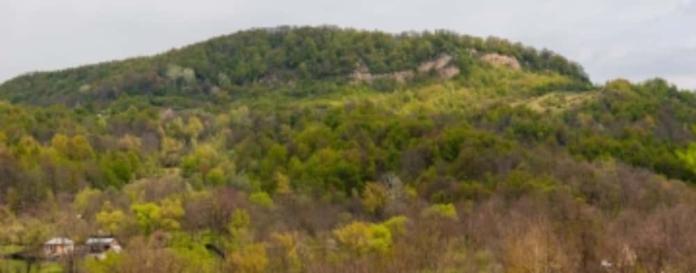 Licitația pentru campusul universitar din comuna prahoveană Provița de Sus, aproape de final! Studenții de la Teatru se vor pregăti în raiul din Plaiu