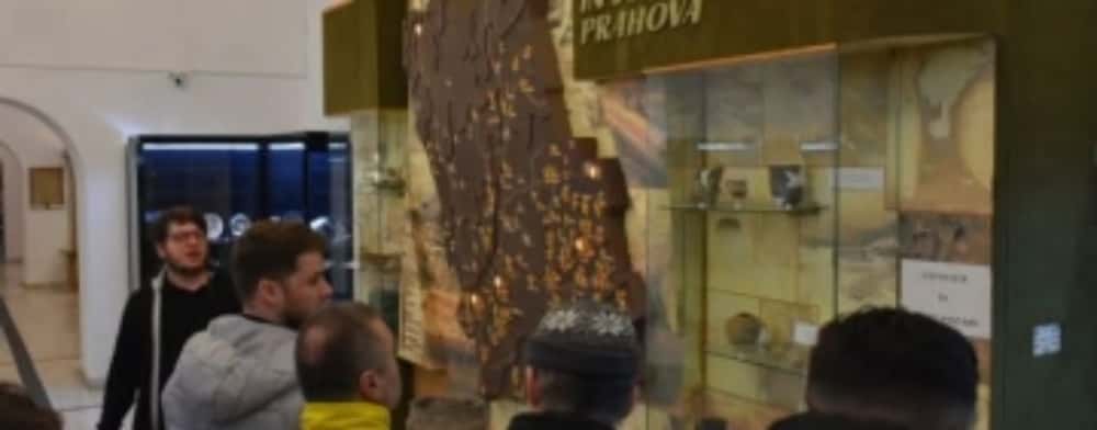 Deținuți de la Penitenciarul Ploiești, în vizită la Muzeul de Istorie și Arheologie Prahova