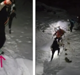 Inconștiență în Bucegi/ Au văzut panourile de avertizare, dar au urcat pe traseu încălțați cu adidași!