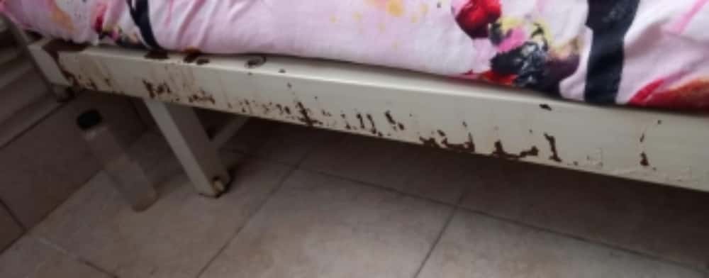 Control al comisarilor de la Protecția Consumatorilor la centre de bătrâni. Ce nereguli s-au găsit în Prahova