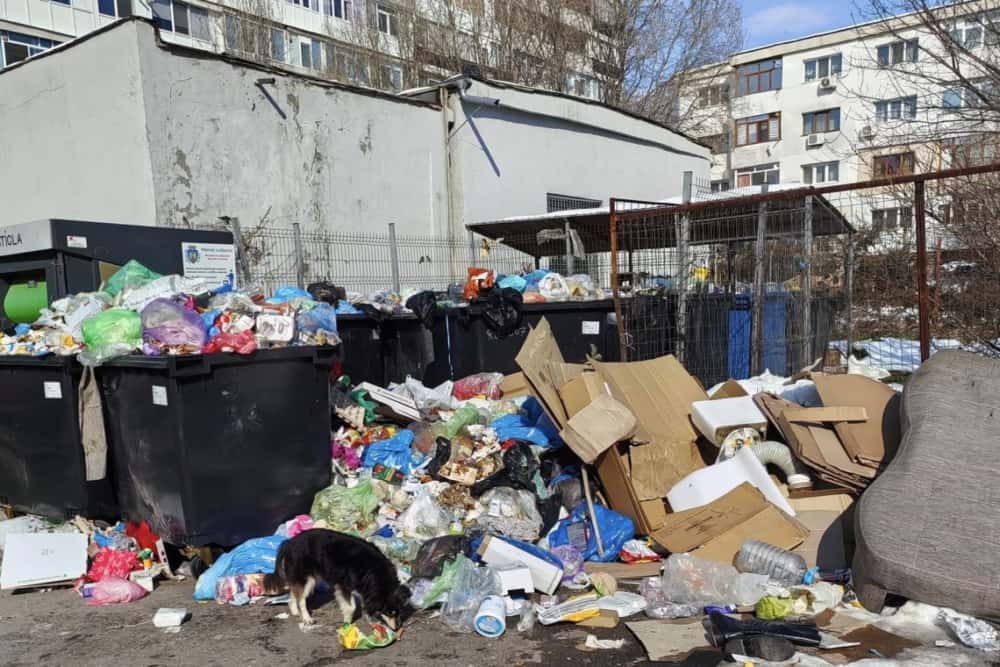 Primarul Polițeanu vrea să declare stare de alertă la Ploiești!