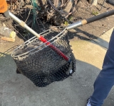 Intervenție neobișnuită a jandarmilor prahoveni: au ajutat la capturarea unui bursuc, în comuna Ciorani