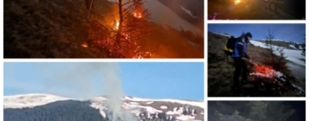 Jandarmii au reușit să stingă un incendiu izbucnit în munții Baiului