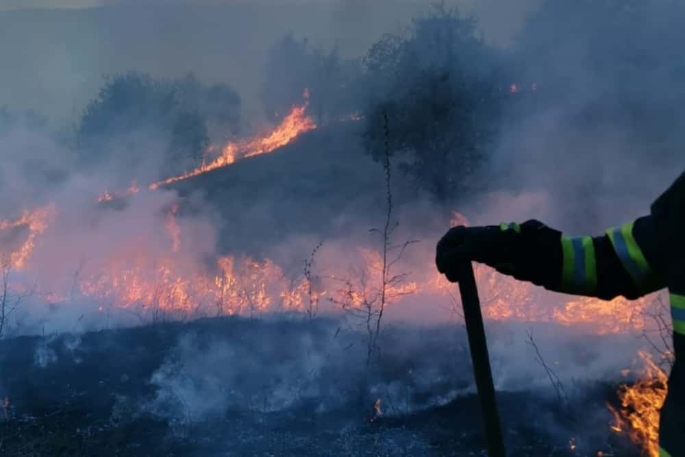 Incendiu pe trei hectare de vegetație uscată și pădure, în orașul Breaza. Pompierii au reușit să localizeze flăcările