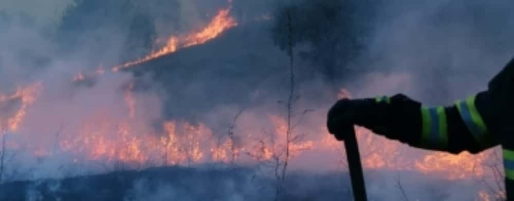 Incendiu pe trei hectare de vegetație uscată și pădure, în orașul Breaza. Pompierii au reușit să localizeze flăcările