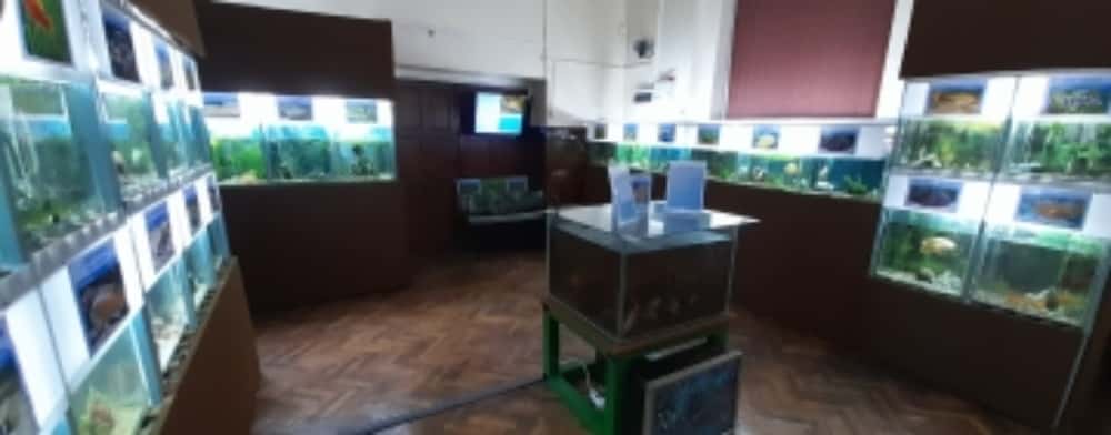Secția Acvariu a Muzeului Județean de Științele Naturii are un nou spațiu, în Palatul Culturii din Ploiești