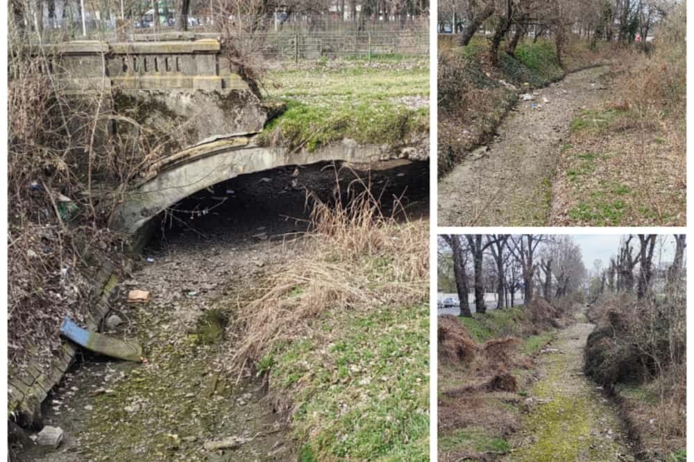 Albia secată a Dâmbului își dezvăluie ”secretele”: șobolani, gunoaie și resturi de îmbrăcăminte