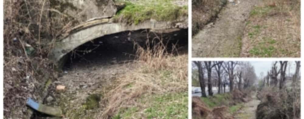 Albia secată a Dâmbului își dezvăluie ”secretele”: șobolani, gunoaie și resturi de îmbrăcăminte
