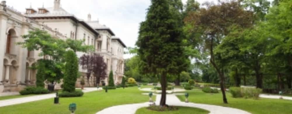 Ilie Bolojan deschide Palatul Cotroceni pentru vizitare, în fiecare weekend. Copiii îi vor putea vedea și pe militarii Batalionului de Gardă