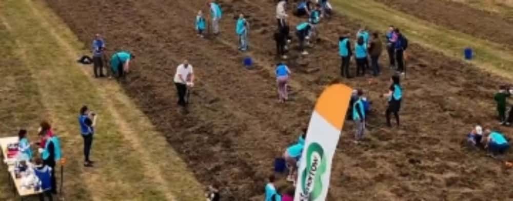 Sute de voluntari au plantat 15.000 de puieți în Grădina Botanică Bucov