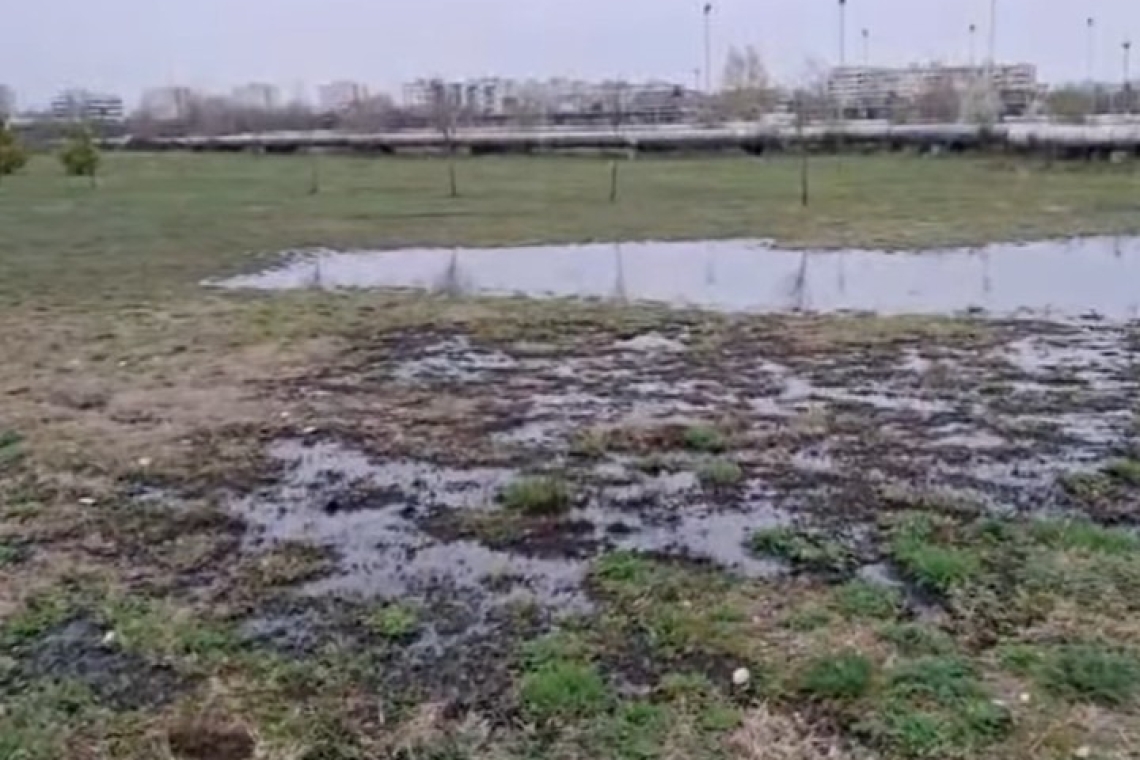 Avarie la o conductă Conpet din Parcul Municipal Ploiești Vest. Țițeiul a ieșit la suprafață și a infestat terenul