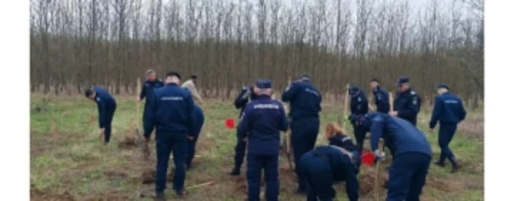 Jandarmii prahoveni au plantat sute de puieți de stejar, la Gherghița