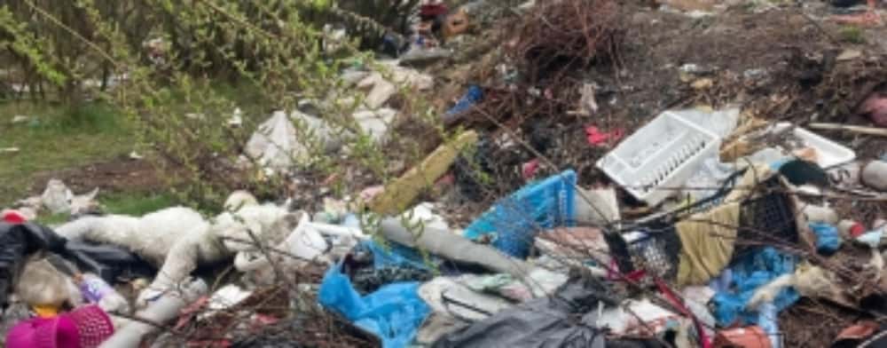 Primarul comunei Vărbilău organizează o acțiune de ecologizare, pentru strângerea gunoaielor aruncate pe domeniul public