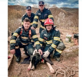 Cățel salvat dintr-o fântână de pompierii prahoveni, în comuna Cărbunești