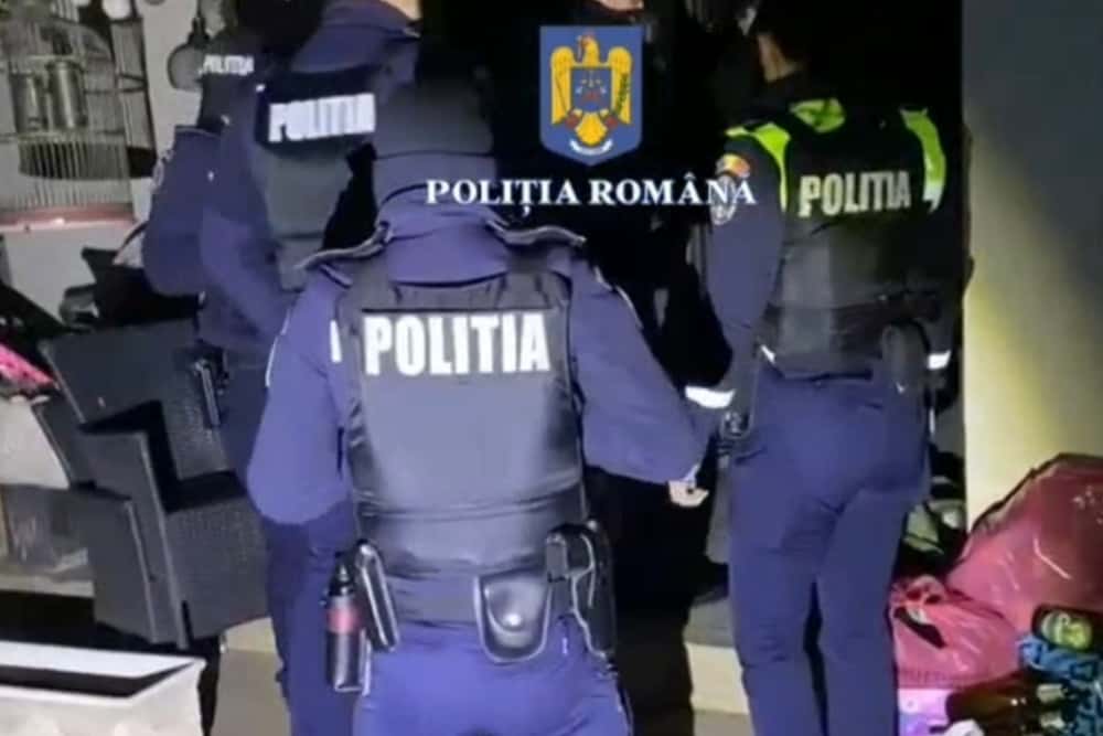 Percheziții la un ”găinar” din Câmpina
