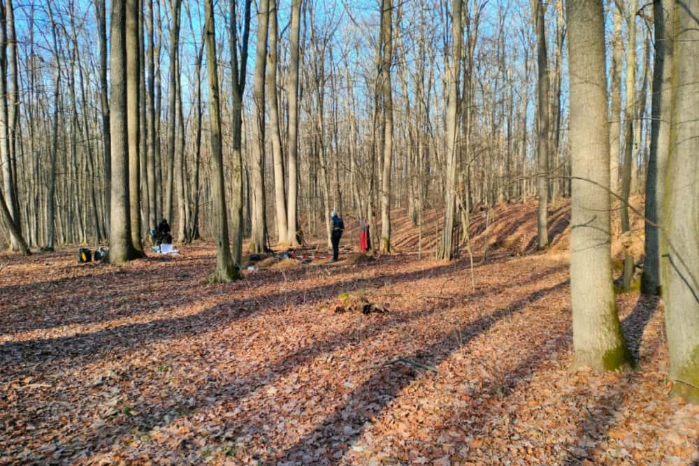 Descoperire arheologică într-o pădure din comuna Plopu: depozite de arme și unelte agricole medievale